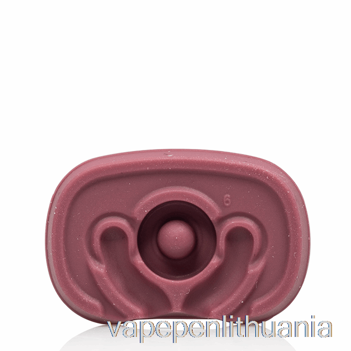 Pax Plokščias Kandiklis Elderberry Vape Skystis